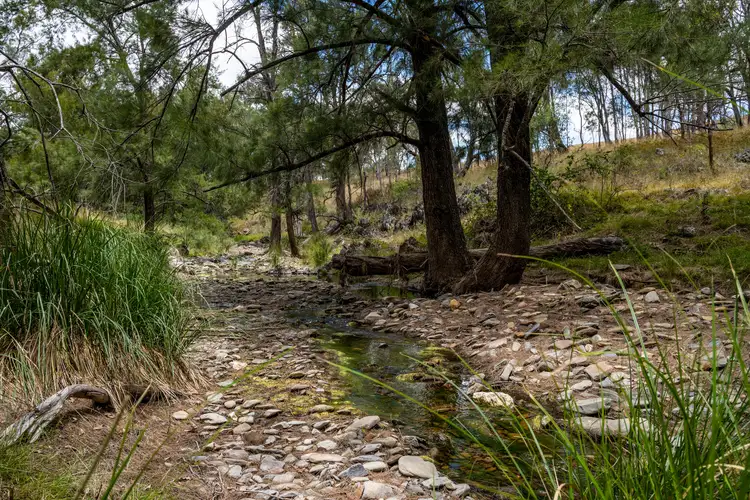 Main view of Homely rural property listing, LOT Lot 57 Windeyer Road, Mudgee NSW 2850