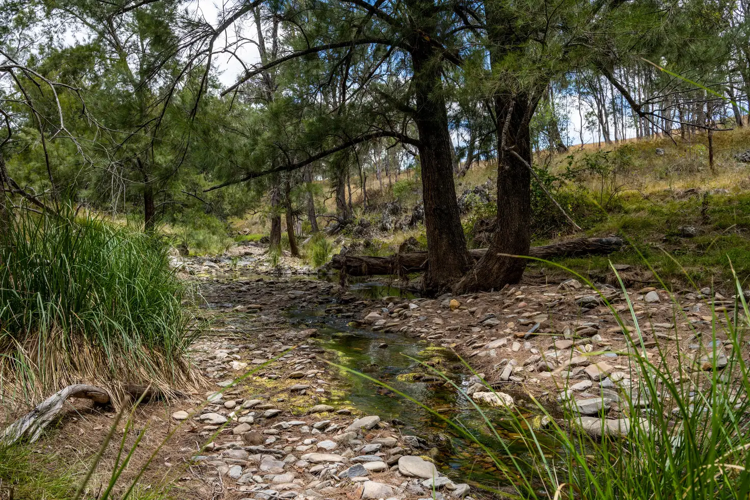 Main view of Homely rural property listing, LOT Lot 57 Windeyer Road, Mudgee NSW 2850