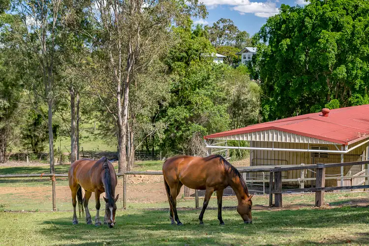 Sixth view of Homely house listing, 224 Whiteside Road, Samsonvale QLD 4520