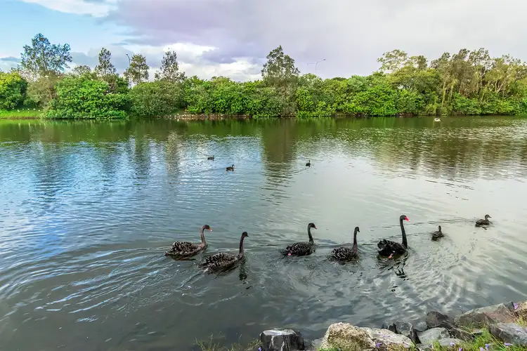 Fifth view of Homely house listing, 40 Emerton Crescent, Robina QLD 4226