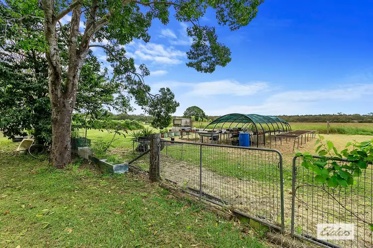 Sixth view of Homely rural property listing, 1209 Duckinwilla Road, Howard QLD 4659