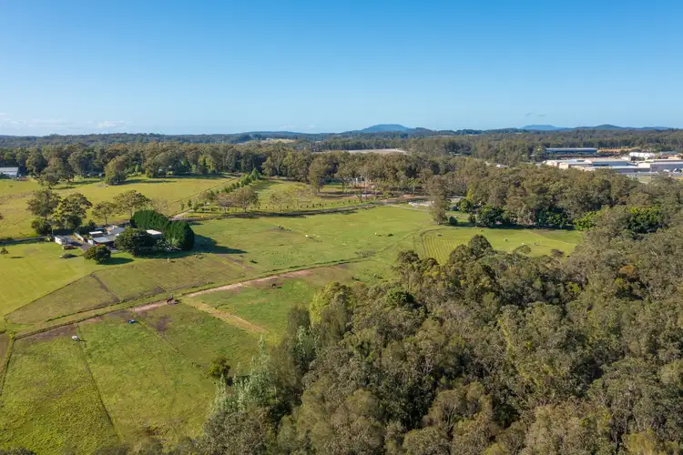 Seventh view of Homely rural property listing, 764 Fernbank Creek Road, Fernbank Creek NSW 2444