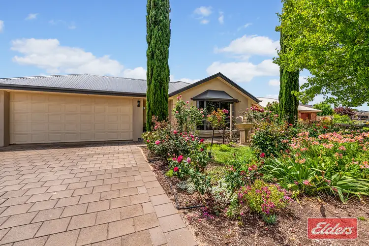Main view of Homely house listing, 16 Semmens Crescent, Freeling SA 5372