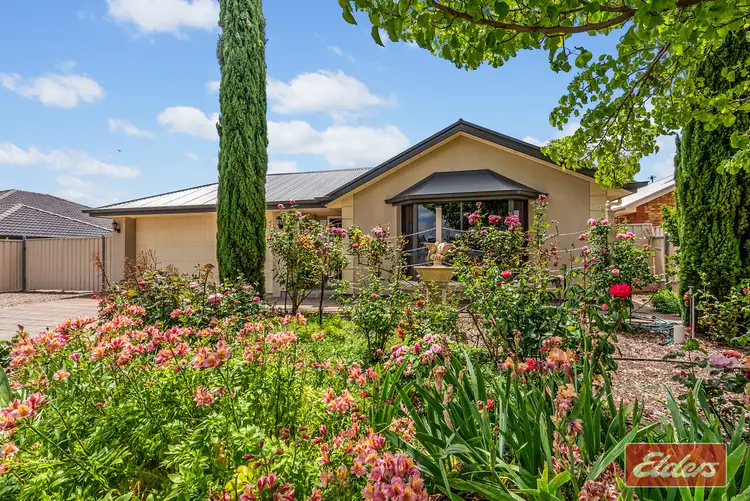 Second view of Homely house listing, 16 Semmens Crescent, Freeling SA 5372