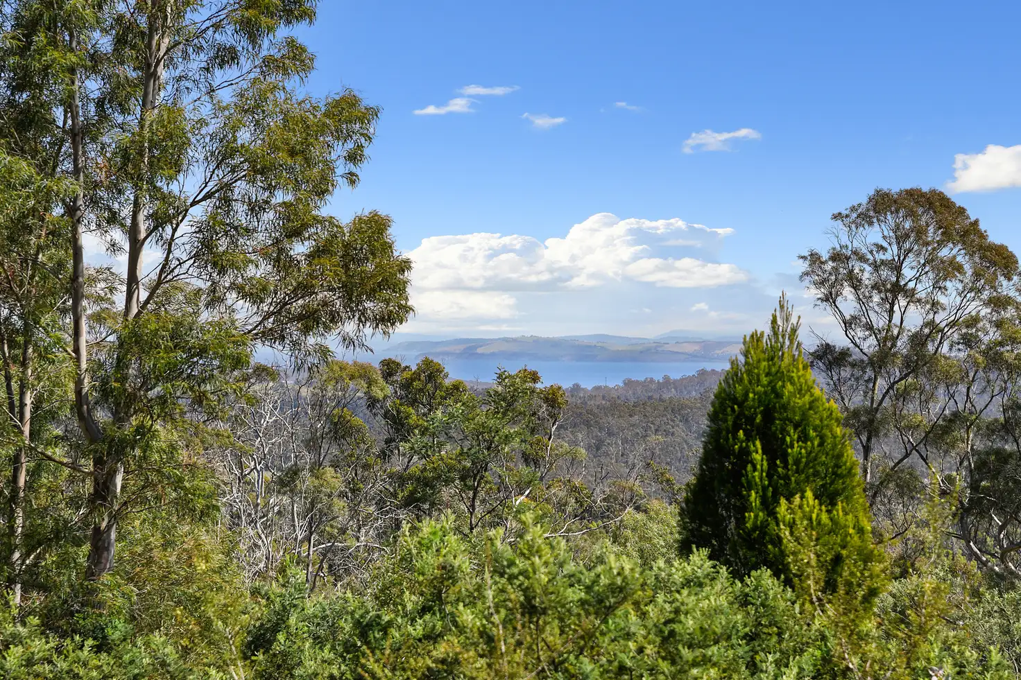 Main view of Homely land listing, Lot 4 White Hill Road, Forcett TAS 7173