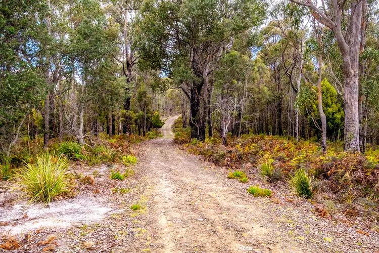 Fifth view of Homely land listing, Lot 4 White Hill Road, Forcett TAS 7173
