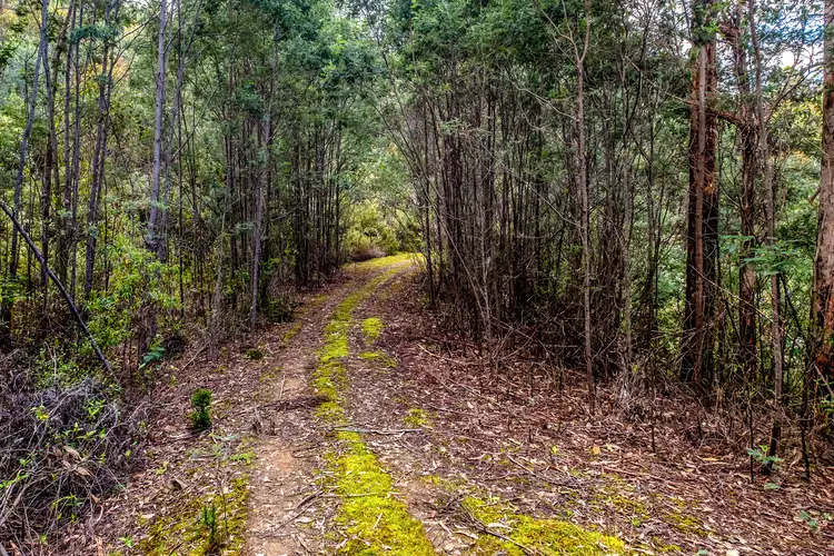 Main view of Homely land listing, Lot 1 White Hill Road, Forcett TAS 7173