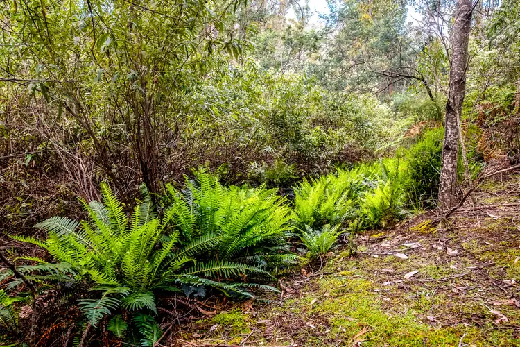 Third view of Homely land listing, Lot 1 White Hill Road, Forcett TAS 7173