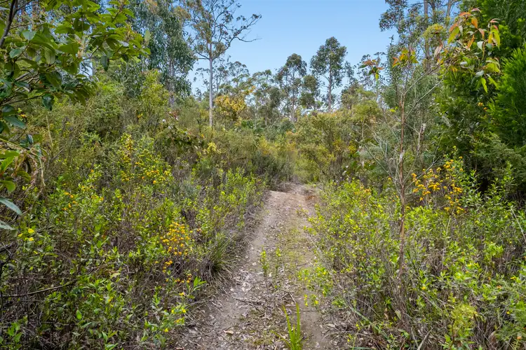 Fourth view of Homely land listing, Lot 1 White Hill Road, Forcett TAS 7173