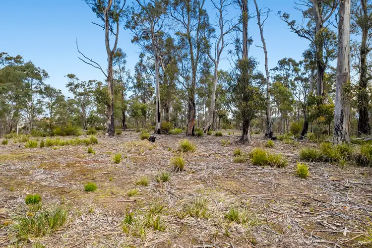 Sixth view of Homely land listing, Lot 1 White Hill Road, Forcett TAS 7173