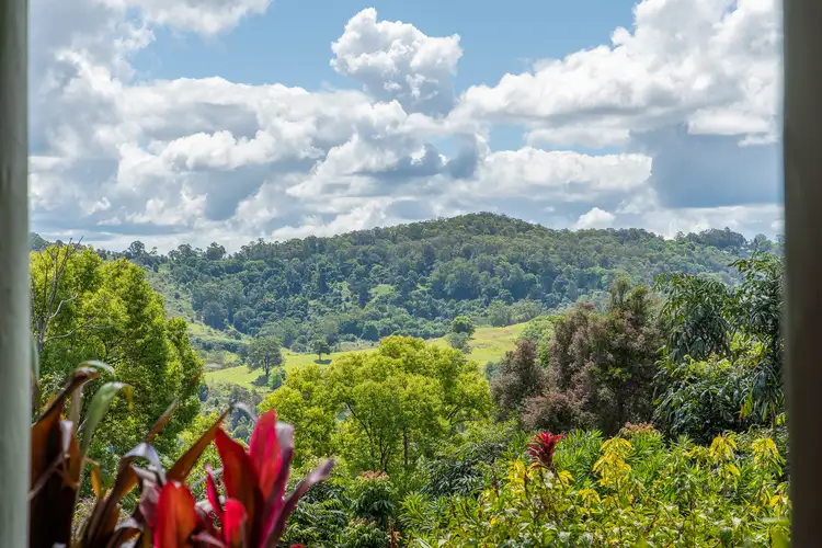 Third view of Homely rural property listing, 301 Wallace Road, The Channon NSW 2480