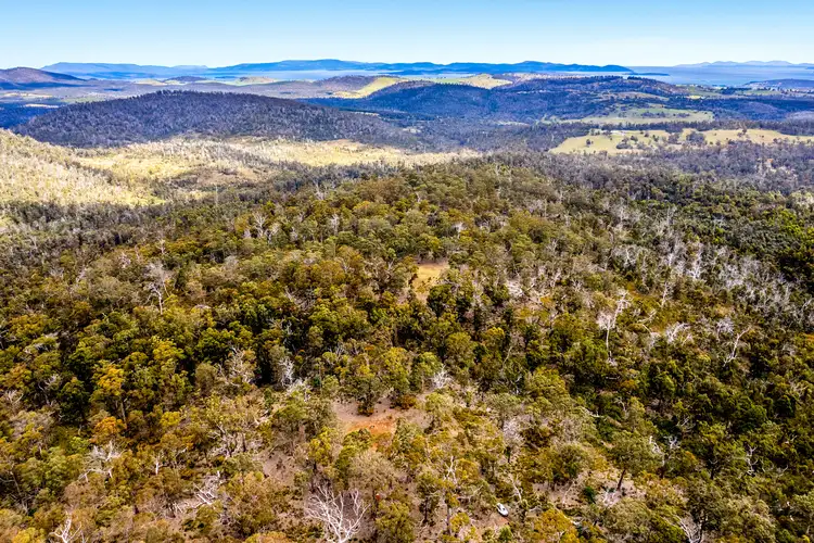 Main view of Homely land listing, "Lindsays" White Hill Road, Forcett TAS 7173