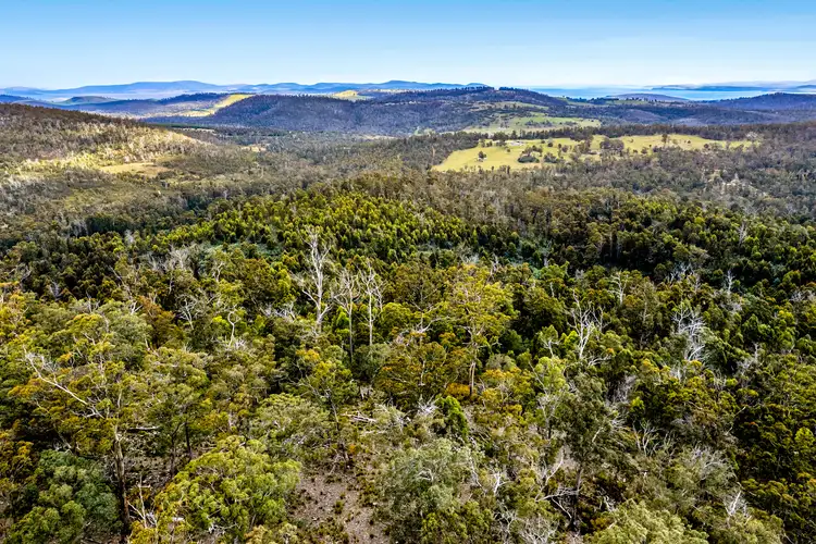 Fourth view of Homely land listing, "Lindsays" White Hill Road, Forcett TAS 7173