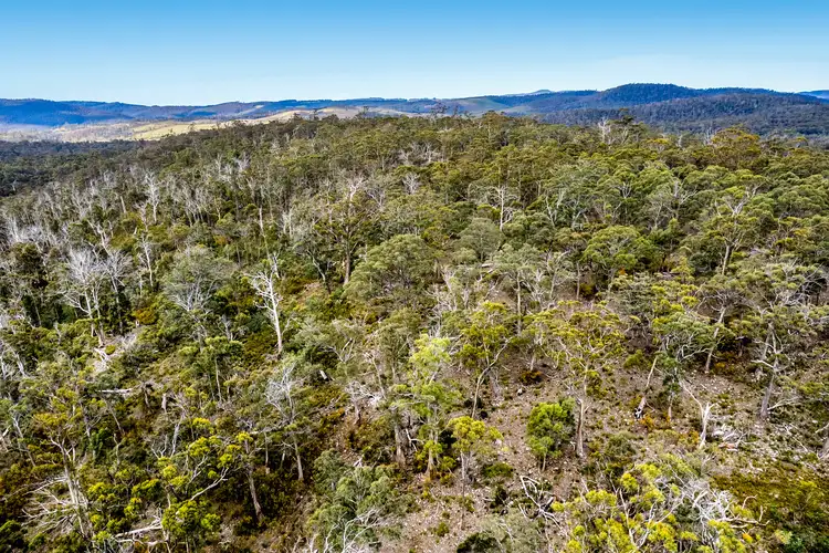 Seventh view of Homely land listing, "Lindsays" White Hill Road, Forcett TAS 7173