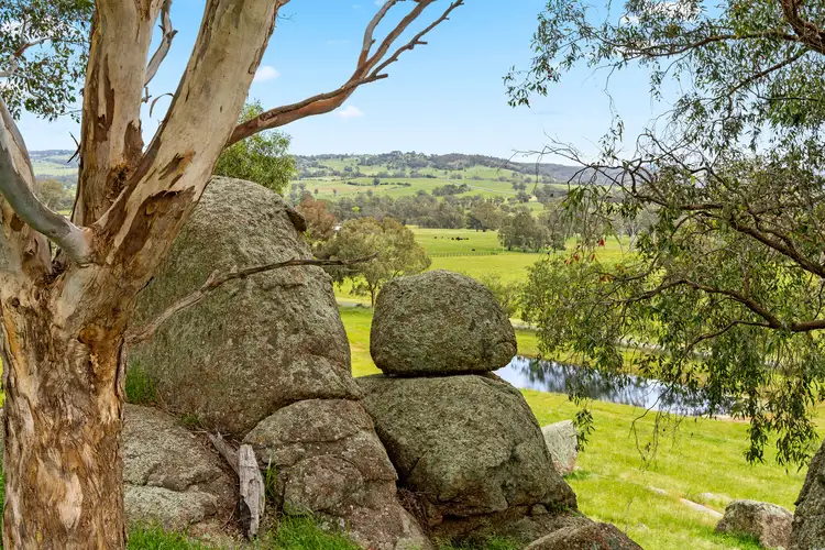 Main view of Homely rural property listing, 1135 Creighton's Creek Road, Creightons Creek VIC 3666