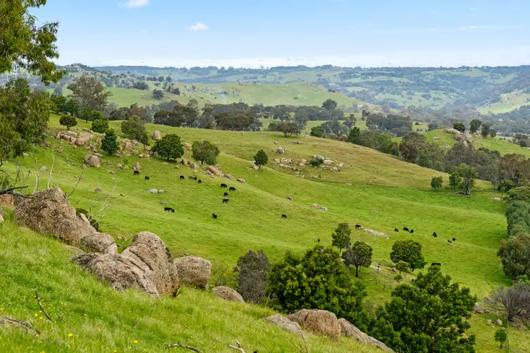 Third view of Homely rural property listing, 1135 Creighton's Creek Road, Creightons Creek VIC 3666