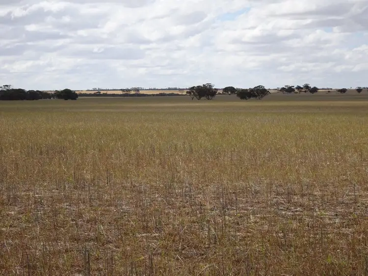 Sixth view of Homely rural property listing, 1112 Bendering Road East, Kondinin WA 6367