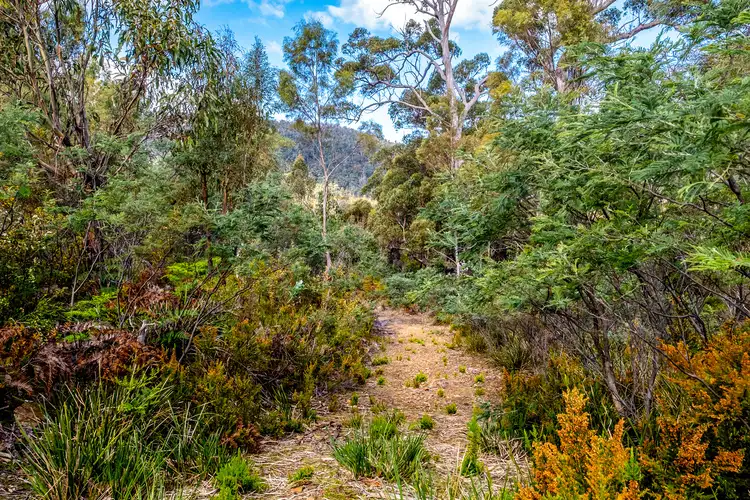 Main view of Homely land listing, Lot 5 White Hill Road, Forcett TAS 7173