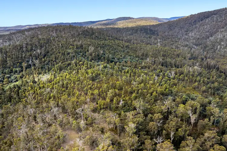 Fifth view of Homely land listing, Lot 5 White Hill Road, Forcett TAS 7173