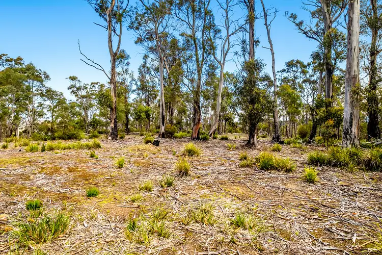 Sixth view of Homely land listing, Lot 5 White Hill Road, Forcett TAS 7173