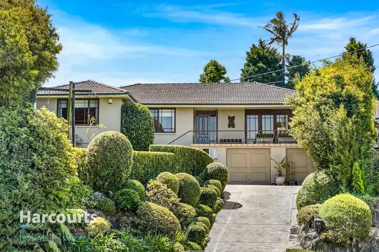 34 Bray Court, North Rocks NSW 2151