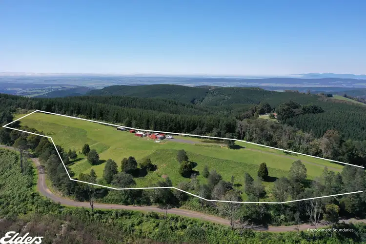 Main view of Homely rural property listing, Lot 1 Kallady Road, Devon North VIC 3971
