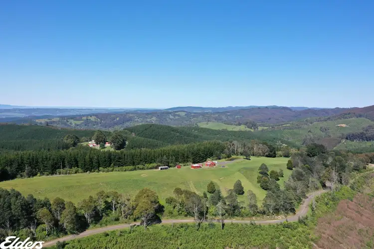 Fifth view of Homely rural property listing, Lot 1 Kallady Road, Devon North VIC 3971