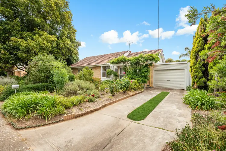 18 Sunningdale Avenue, Novar Gardens SA 5040