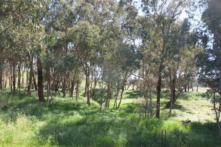 Seventh view of Homely rural property listing, CA10 Sec5 Glenlofty-Warrenmang Road, Warrenmang VIC 3478