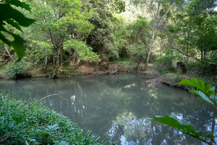 Fourth view of Homely rural property listing, LOT 7, 3640B Kyogle Road, Mount Burrell NSW 2484