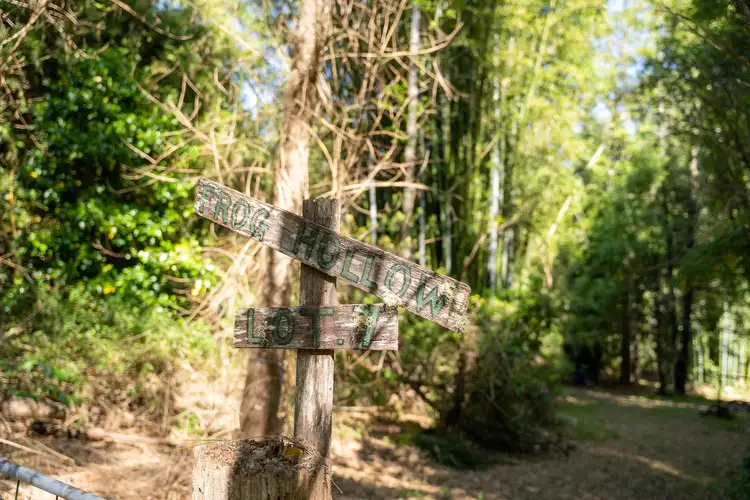 Fifth view of Homely rural property listing, LOT 7, 3640B Kyogle Road, Mount Burrell NSW 2484