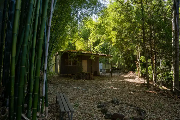 Seventh view of Homely rural property listing, LOT 7, 3640B Kyogle Road, Mount Burrell NSW 2484