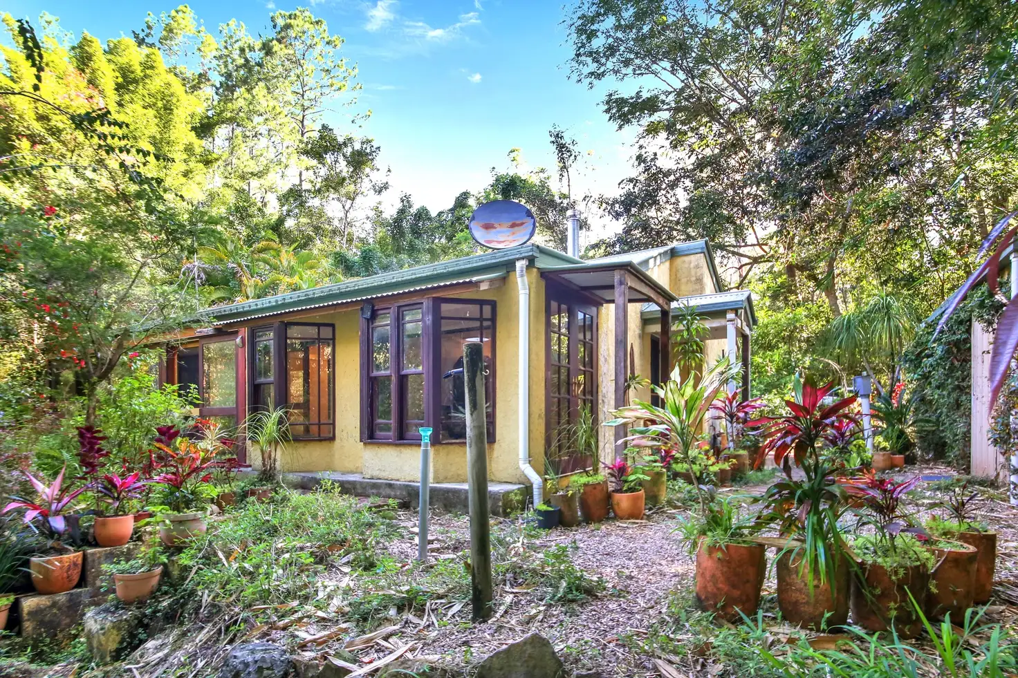 Main view of Homely house listing, 53 Sullivans Road, Eudlo QLD 4554