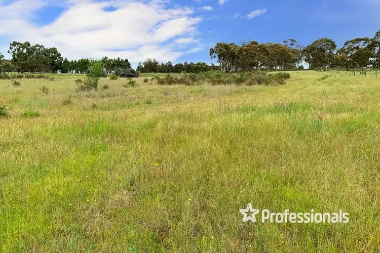 Fifth view of Homely land listing, 19 William Street, Majorca VIC 3465