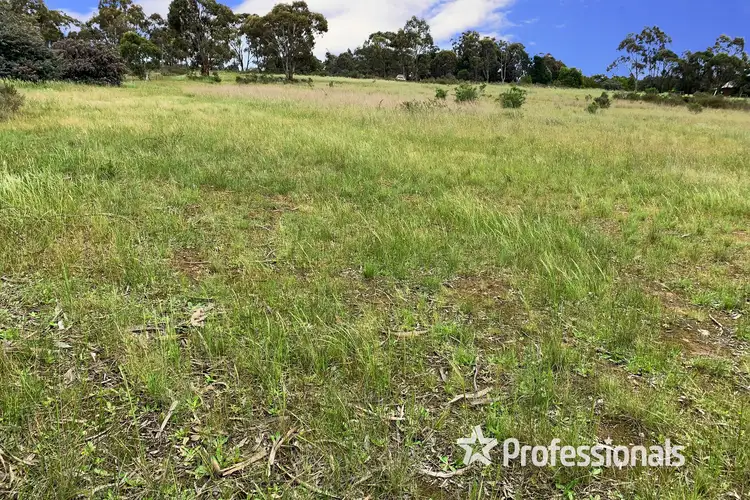 Seventh view of Homely land listing, 19 William Street, Majorca VIC 3465