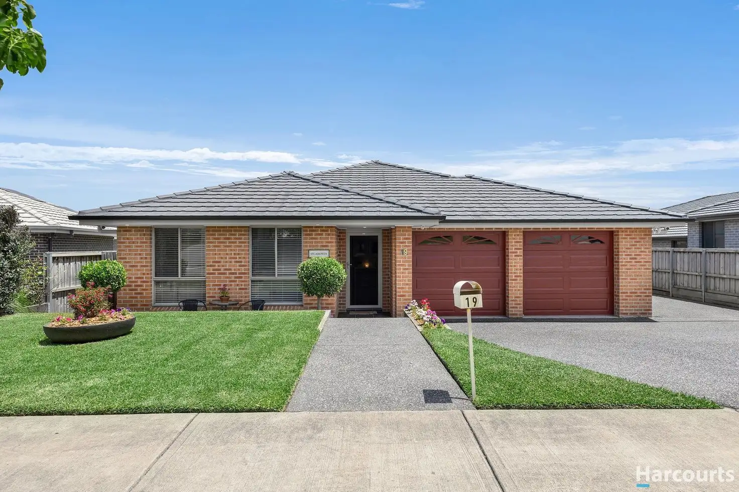Main view of Homely house listing, 19 Pinchtail Street, Chisholm NSW 2322