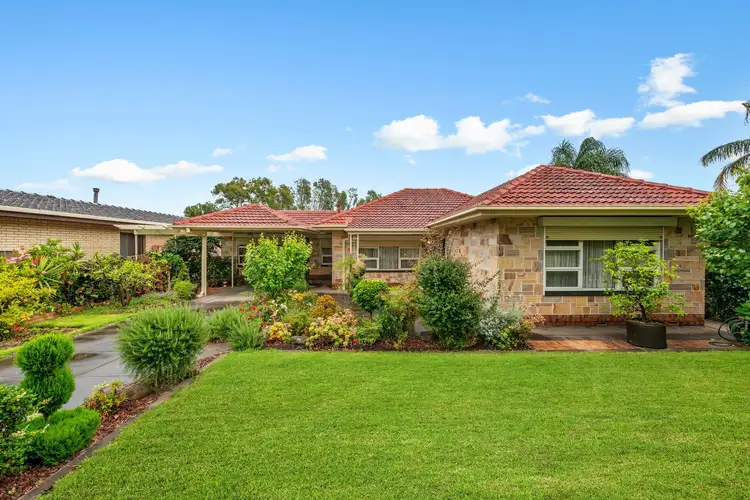 314 Marion Road, Netley SA 5037