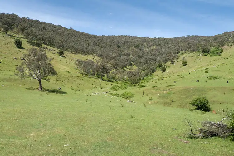 Sixth view of Homely land listing, 7175 Murray Valley Highway, Bullioh VIC 3700