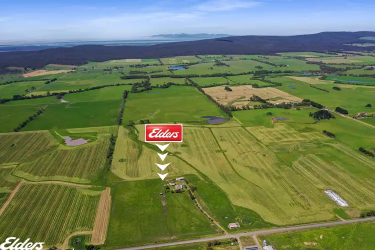 Main view of Homely rural property listing, 998 Gelliondale Road, Jack River VIC 3971