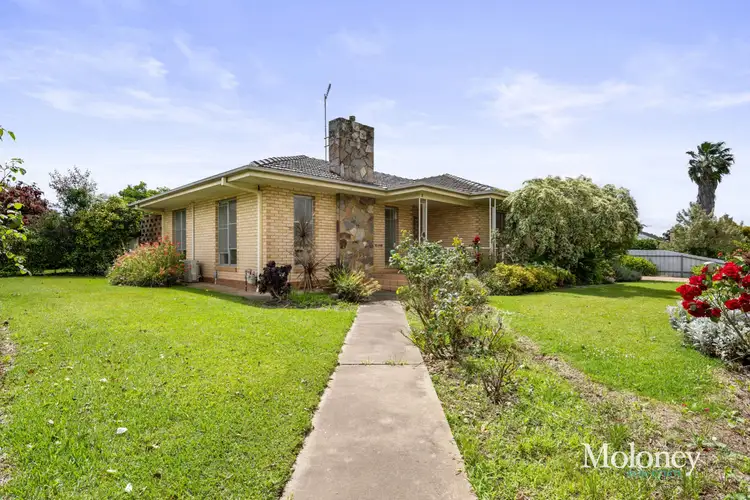31 Whitehead Street, Corowa NSW 2646