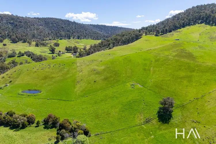 Third view of Homely rural property listing, 211 Scotts Road, Colebrook TAS 7027