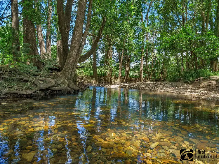 Fifth view of Homely rural property listing, 101 Coldwater Creek Road, Nana Glen NSW 2450