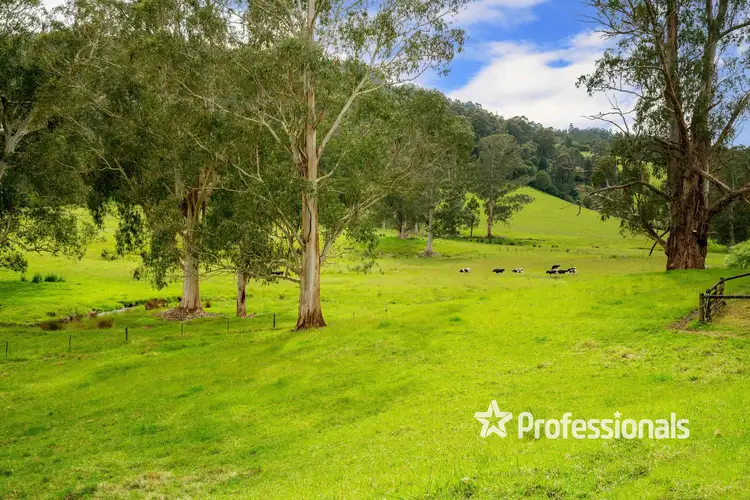 Third view of Homely house listing, 1415 Little Yarra Road, Gilderoy VIC 3797