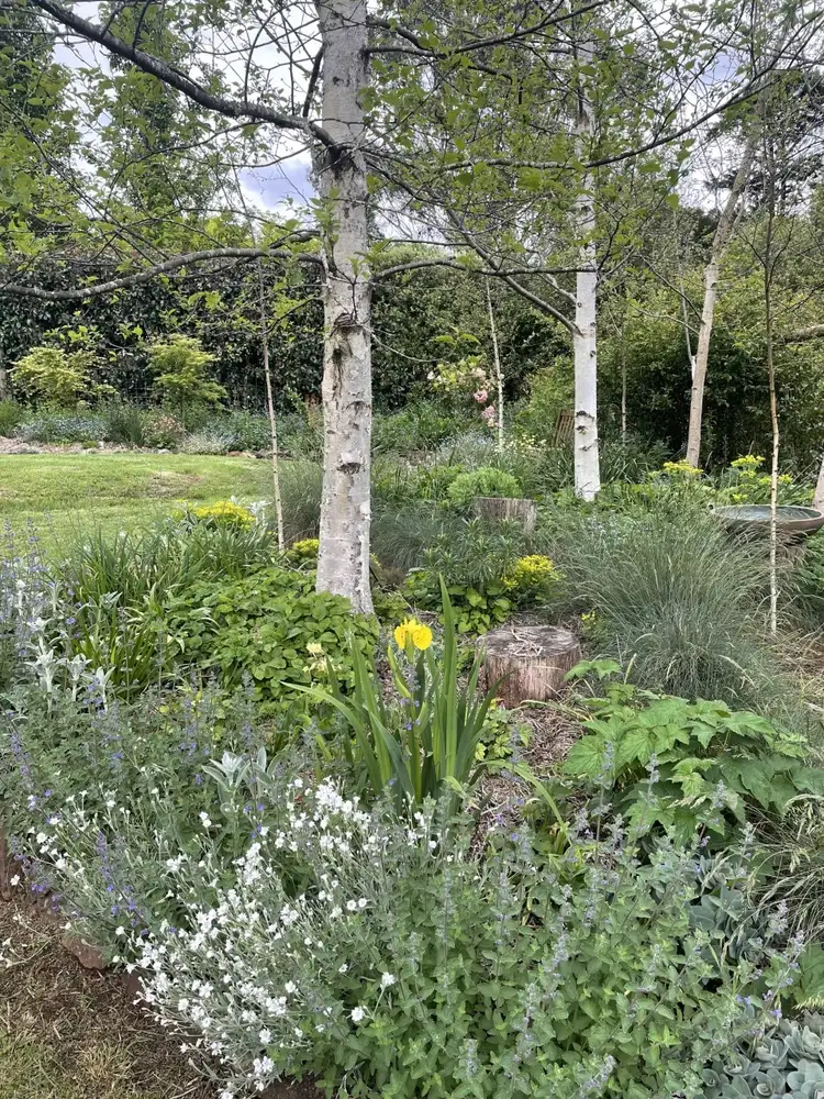 Sixth view of Homely land listing, 1 Lelant Street, Trentham VIC 3458