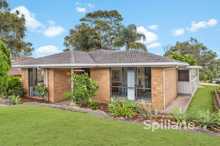 Main view of Homely house listing, 24 Cedrella Crescent, Warabrook NSW 2304