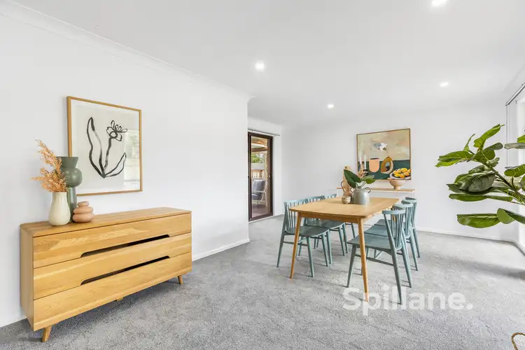 Second view of Homely house listing, 24 Cedrella Crescent, Warabrook NSW 2304