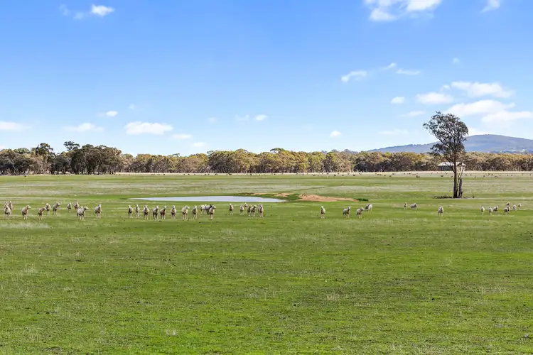Sixth view of Homely land listing, 323 Hokins Road, Ravenswood VIC 3453