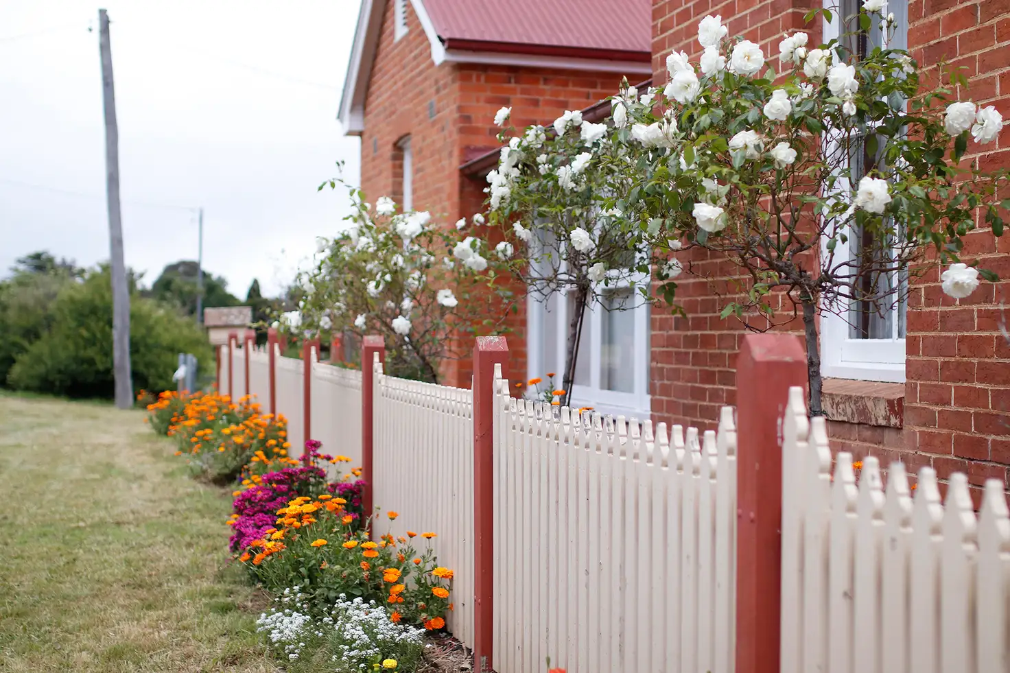 Main view of Homely house listing, 34 Collector Road, Gunning NSW 2581