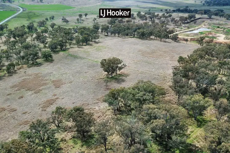 Second view of Homely rural property listing, 350 Ashford Road, Inverell NSW 2360