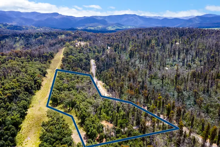 909 Yowrie Road, Yowrie NSW 2550